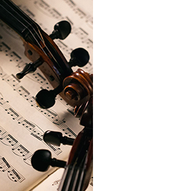violines-suakai-2t