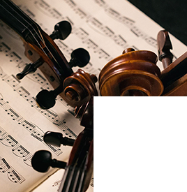violines-suakai-3t
