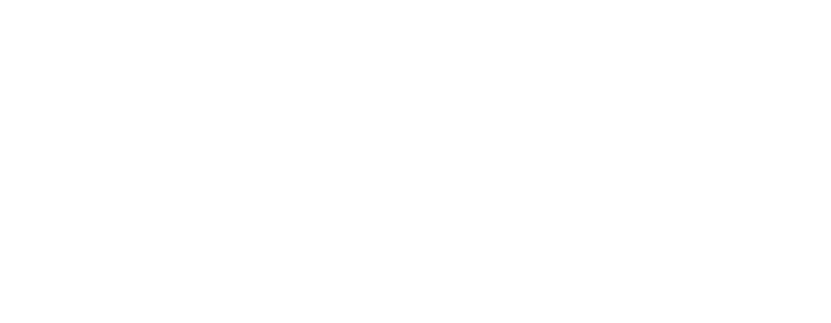 Logo ofRaíces
